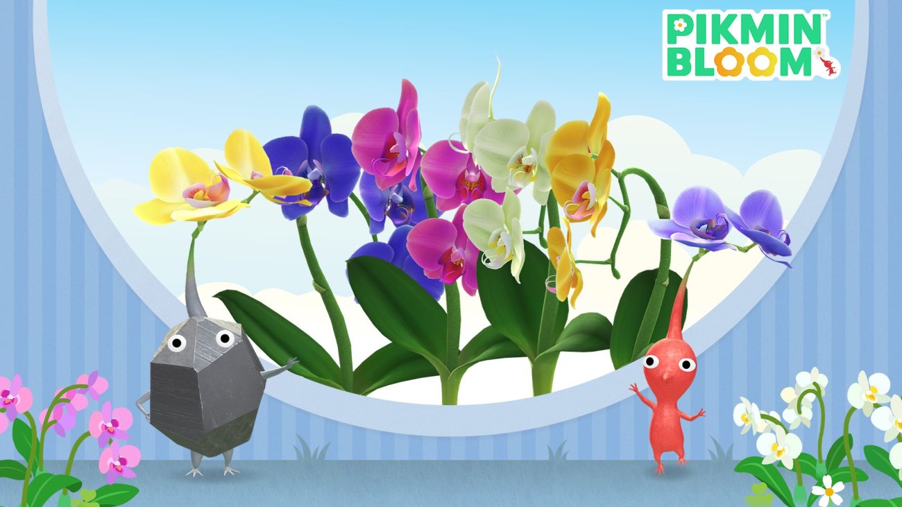 Novedades Florales en Pikmin