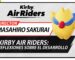 Kirby Air Riders